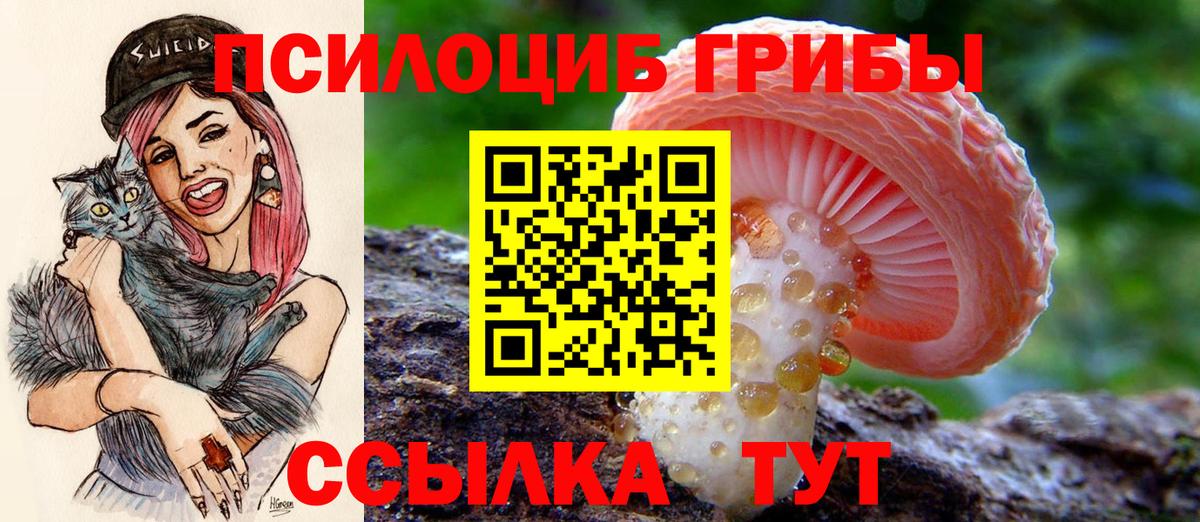 Джанкой  Галлюциногенные грибы Magic Shrooms  Псилоцибиновые грибы Cubensis  Вход с VPN 